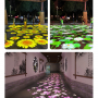 Effect Picture-4