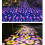 Effect Picture-1